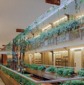 5 Hotel Kontainer yang Wajib Anda Kunjungi 6 Kollektiv Hotel Kontainer