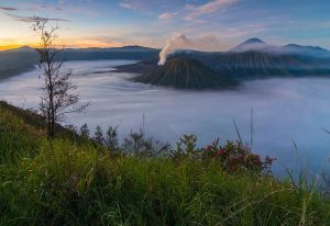 5 Lokasi Wisata Cocok untuk Hotel Kontainer 3 hotel kontainer bromo