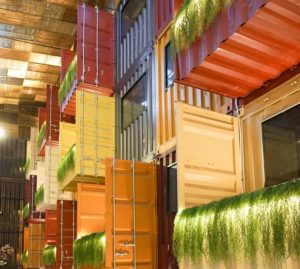 5 Hotel Kontainer yang Wajib Anda Kunjungi 3 hotel kontainer qubika