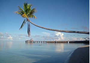 5 Lokasi Wisata Cocok untuk Hotel Kontainer 5 hotel kontainer wakatobi