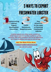 3 Cara Ekspor Lobster Air Tawar, Jadi Peluang Menguntungkan! 2 ekspor lobster air tawar