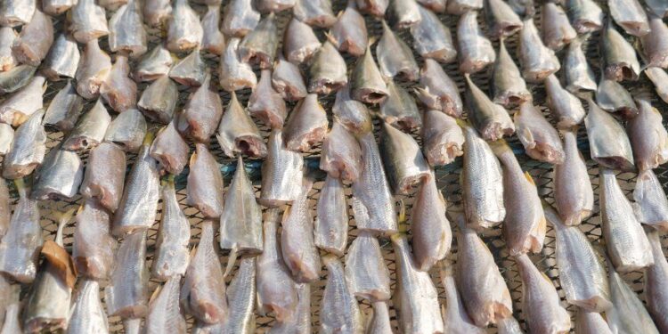 5 Cara Ekspor Ikan Asin Ke Luar Negeri 1 cara ekspor ikan asin ke luar negeri