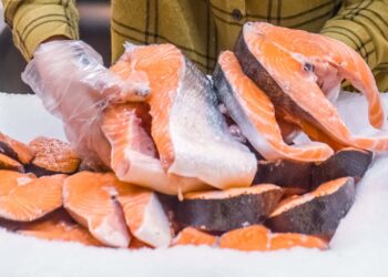 Ruangan Pendingin Daging dan Ikan untuk Dukung Bisnis