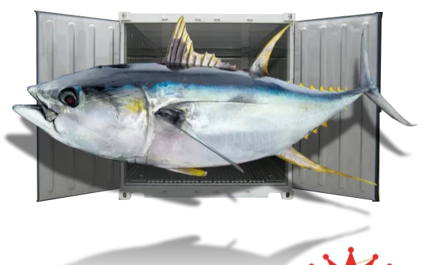 Cold Storage Ikan: Cek Keuntungan, Kapasitas, dan Harganya 1 Cold Storage Ikan 10 Ton, 20 Ton, 50 Ton, 100 Ton