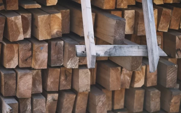 Cara Packing Kayu untuk Pengiriman Kargo yang Aman 2 Cara Packing Kayu Dimulai dari Pemilihan Material Kayu yang Kokoh