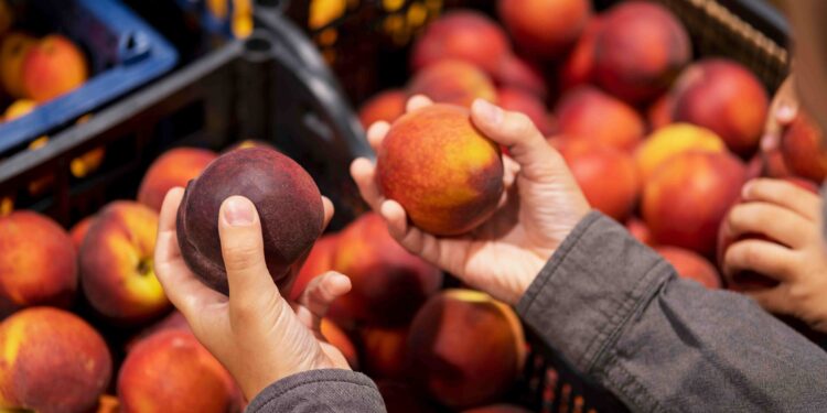 cara menyimpan buah agar tahan lama