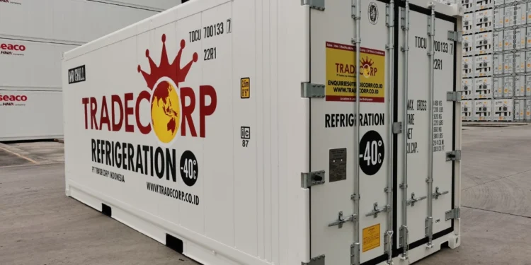 20' Container Thermo King 3