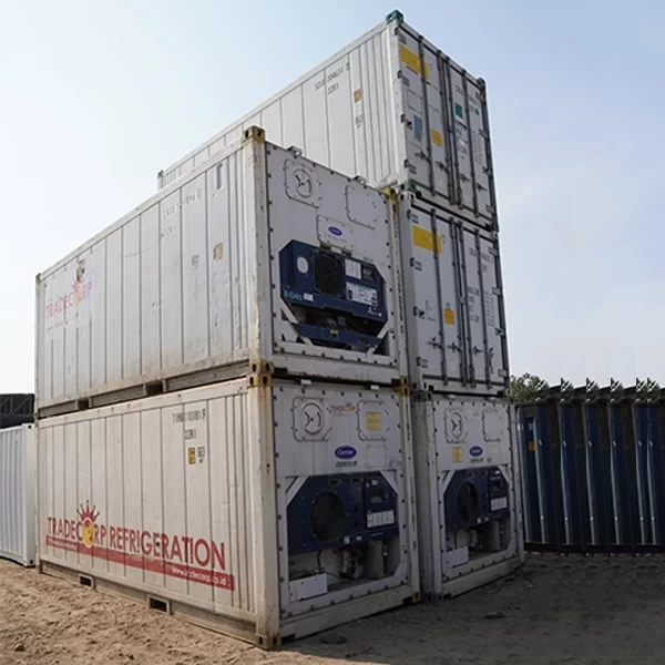 Harga Sewa Container Reefer 20 Feet dan 40 Feet Per Bulan 2 Reefer 20 Feet 2