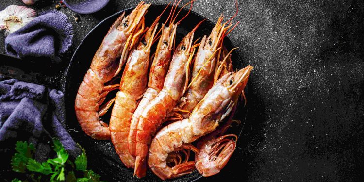 Cold Storage Udang, Solusi Optimalkan Rantai Pasok Udang 8 Cold Storage Udang, Solusi Optimalkan Rantai Pasok Udang
