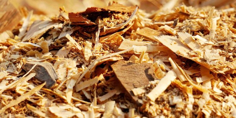 Ekspor Wood Chip Pakai Kontainer Apa? 7 Ekspor Wood Chip Pakai Kontainer Apa