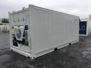 Mau Ekspor Cumi? Cek Jenis Kontainernya 3 reefer container 20 feet