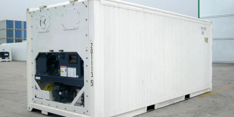Reefer Container Rental for Frozen Food & Logistics, Monthly or Yearly Plans