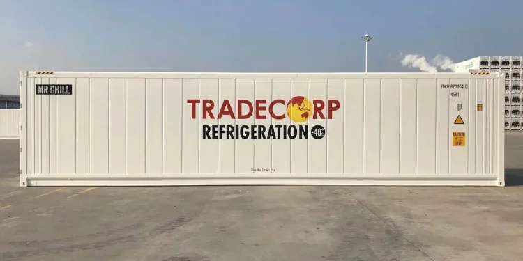 Harga Container 40 Feet Baru dan Bekas 1 Kapasitas Reefer Container Daya Muat untuk Logistik